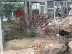 -水绘园