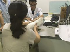 -特一安24小时宠物医院·骨科·中兽医
