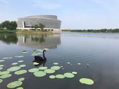 -华北理工大学(曹妃甸校区)