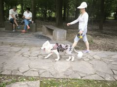 -贵阳市花溪国家城市湿地公园