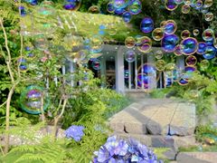 -深圳国际园林花卉博览园