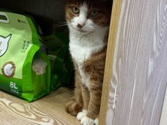 -四月宠物医院·猫专科·心脏专科·内科(转塘店)