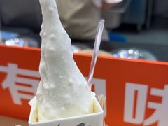-野人先生现做冰淇淋(西安赛格店)