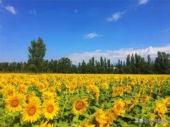 -金春禧(世茂国际广场店)