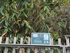 -福道