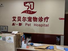 -艾贝尔宠物诊疗