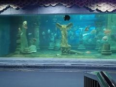 -梦幻海洋王国(吾悦广场张家港店)