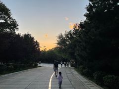-秦岭风景区