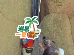 -汤旺河林海奇石景区