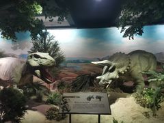 -国家自然博物馆