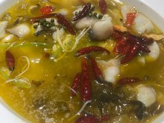 -小杨烤肉(朱雀店)