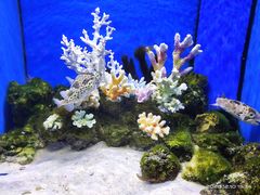 -多彩贵州城极地海洋世界