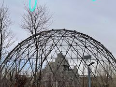 -鄂尔多斯野生动物园