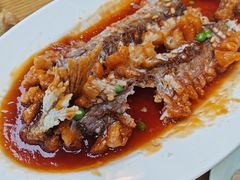 -老绥元烧麦·家常菜(大召店)