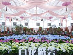 -盈香心动乐园