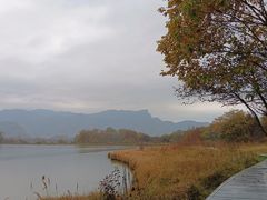 -大九湖