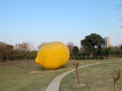 -顺峰山公园