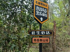 -南岳衡山风景名胜区