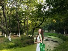 -长白岛森林公园