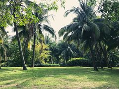 -白沙门生态公园