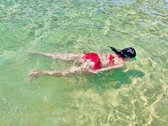 -亚龙湾海底世界