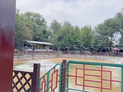 -尚庄度假村·庭台树下·户外烧烤·团建CS·轰趴营地(上庄水库店)