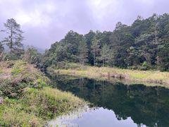 -海南热带雨林国家公园吊罗山景区