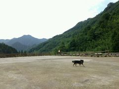 -崇州九龙峡漂流