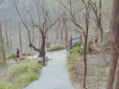 -井塘古村
