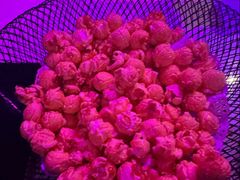 -酷秀KTV(五道口店)