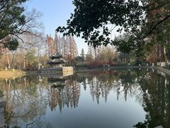 -习家池