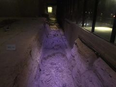 -汉景帝阳陵博物院