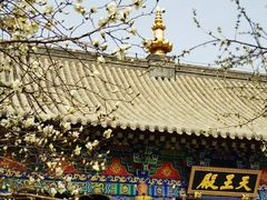 -护国法轮寺