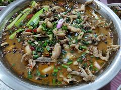 -盘龙黄鳝(盘龙居店)