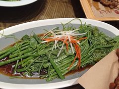 -鸽子窝(青塔店)