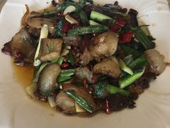-古蔺郑胖娃(泸州总店)