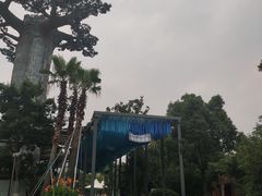 -苏州乐园森林水世界