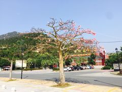 -江门古兜温泉小镇