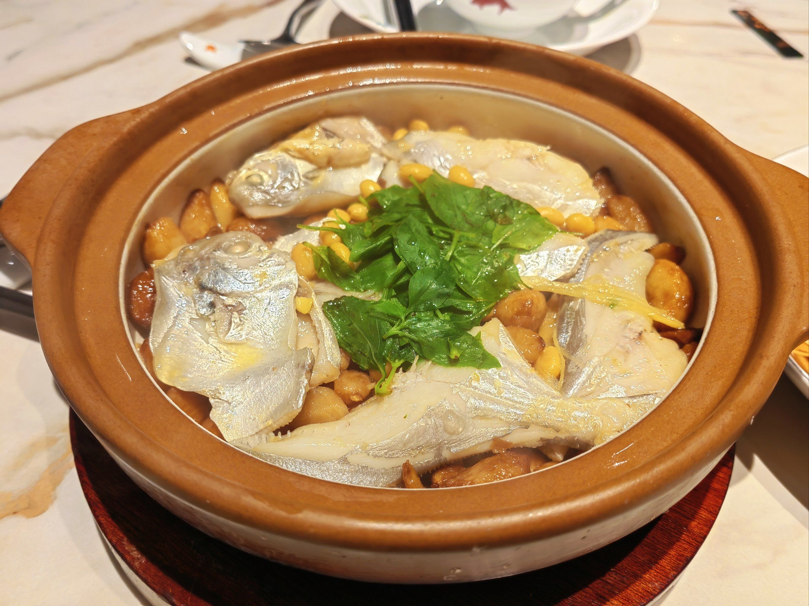 潮菜#广东菜#这家店回头客超多想吃你就来#焗白仓鱼#潮汕菜#沙参鸡