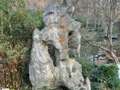 -杭州植物园