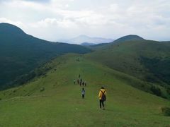 -大姆山草场