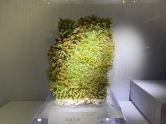 -湖南省地质博物馆