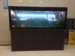 -域SPA·足疗·按摩·养生(静安寺店)