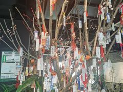 -轻武堂传统射箭·功夫茶·射击体验馆(仁和新城店)