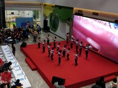 -中国宋庆龄青少年科技文化交流中心