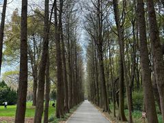 -上海滨江森林公园
