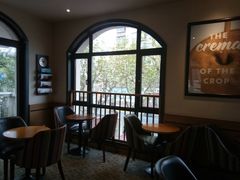 靠窗位-COSTA COFFEE(上海虹口公园店)