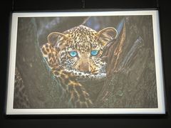 -罗红摄影艺术馆