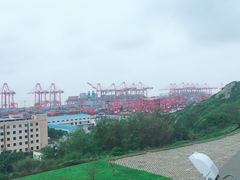 -洋山深水港