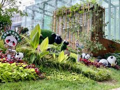 -西安电影制片厂